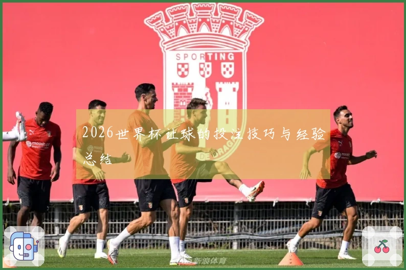 2026世界杯让球的投注技巧与经验总结