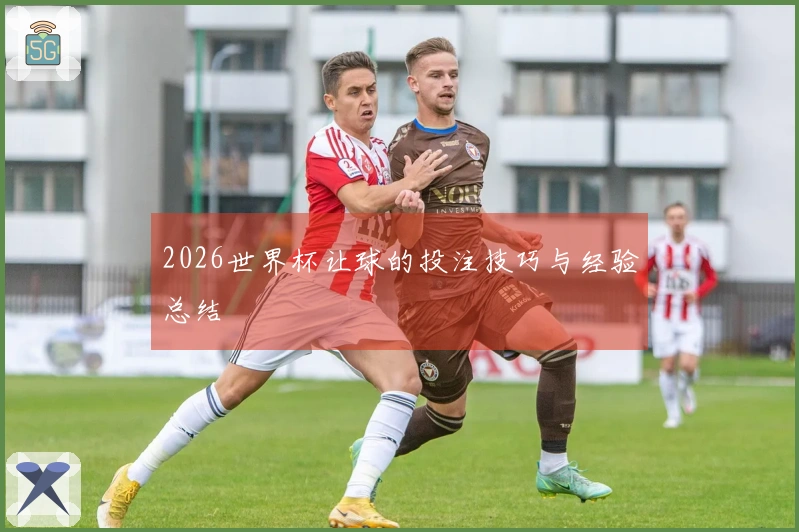 2026世界杯让球的投注技巧与经验总结
