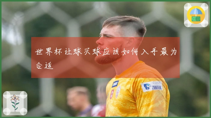 世界杯让球买球应该如何入手最为合适