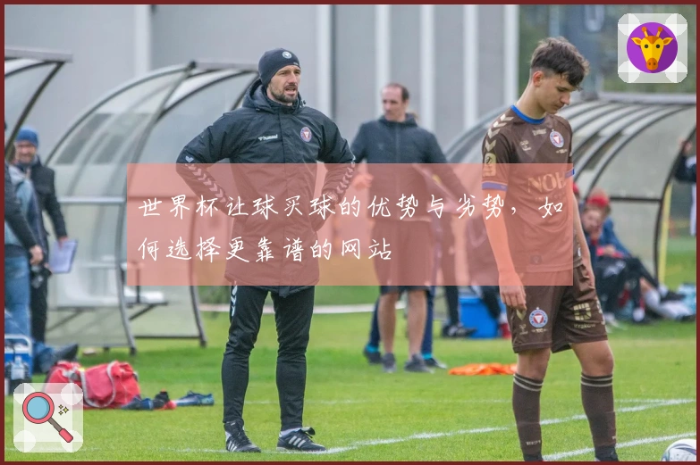 世界杯让球买球的优势与劣势，如何选择更靠谱的网站