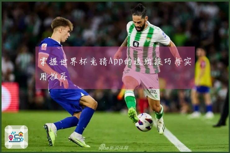 掌握世界杯竞猜App的选购技巧与实用推荐