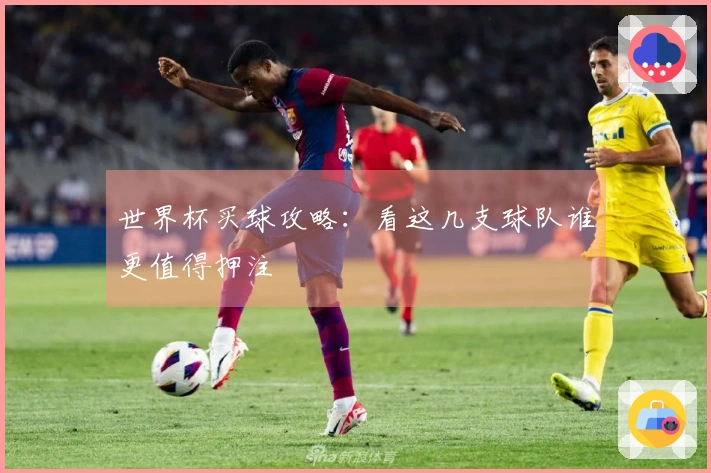 世界杯买球攻略：看这几支球队谁更值得押注