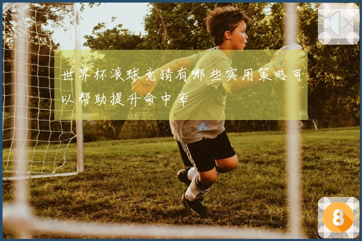 世界杯滚球竞猜有哪些实用策略可以帮助提升命中率
