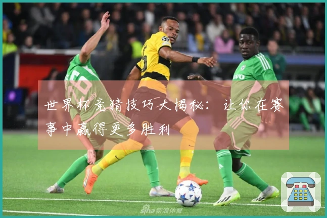 世界杯竞猜技巧大揭秘：让你在赛事中赢得更多胜利