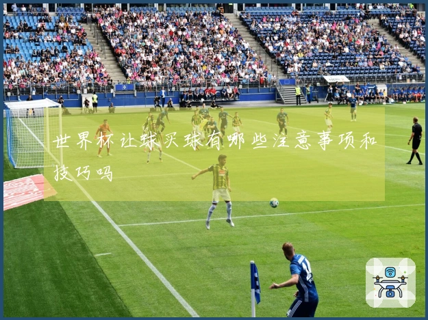世界杯让球买球有哪些注意事项和技巧吗